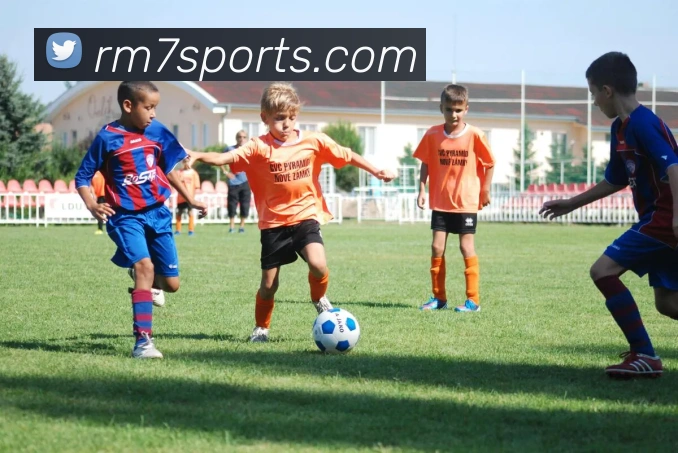 多媒体互动体验